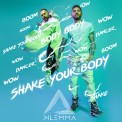 Слушать песню Shake Your Body от Dilemma