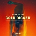 Слушать песню Gold Digger от Tom Enzy & Pillows