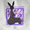 Слушать песню VVS (Freestyle) от Rari feat. Ameriqa