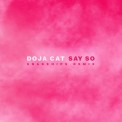 Слушать песню Say So (Snakehips Remix) от Doja Cat
