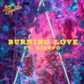 Слушать песню Burning Love от Big Gigantic feat. Kidepo