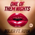 Слушать песню One Of Them Nights (BLR Remix) от Leon Bolier feat. Roya