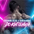 Слушать песню До кипения от Storm DJs, Grishina