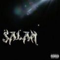 Слушать песню Salam от Платина