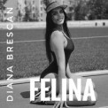 Слушать песню Felina от Diana Brescan
