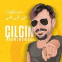 Слушать песню Kalbimsin от Çılgın Dondurmacı