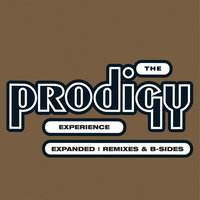 The Prodigy - Experience: Expanded (2008)